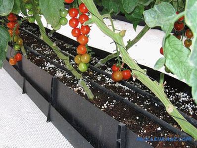 Drip irrigation greenhouses do it yourself