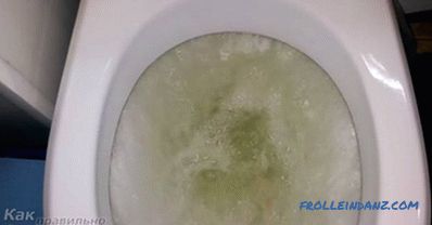 How to eliminate the clog of the toilet - how to eliminate the blockage in the toilet