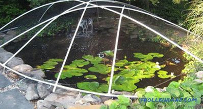 Pond do it yourself - how to make a pond at the site (+ photos)