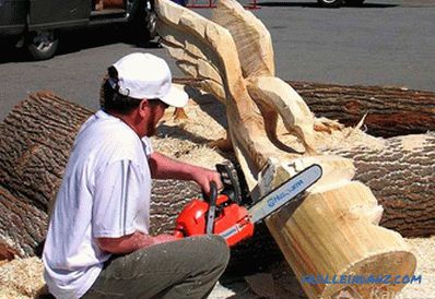 How to choose a chainsaw for the price and quality for giving and home