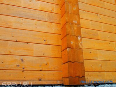 Which timber is better for building a house