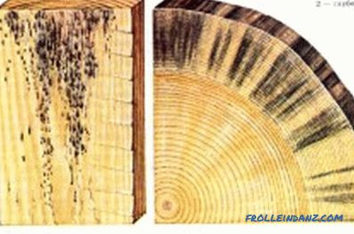 Wood wax impregnation: concept and technology