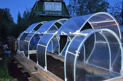 Greenhouse butterfly do it yourself - design features and installation