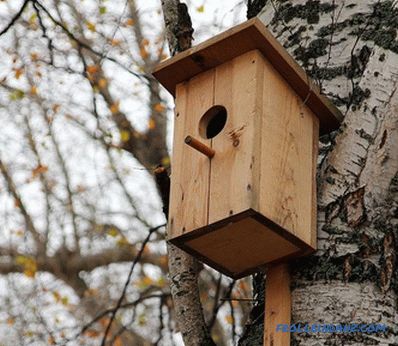 How to make a birdhouse with your own hands