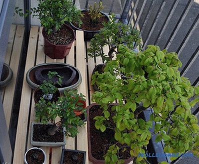 How to make a balcony of the apartment with your own hands (inside and outside) + photo