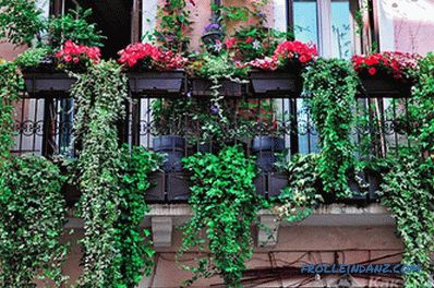 How to make a balcony of the apartment with your own hands (inside and outside) + photo