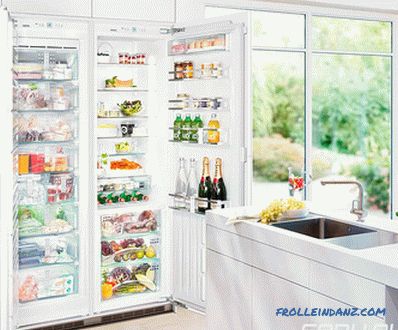 How to choose a refrigerator - expert advice