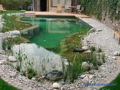 How to make a pool with your own hands (+ photo)