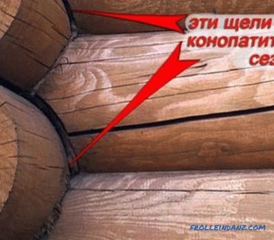 How to treat wood from mold and mildew?