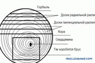 Characteristics of lumber and their classification