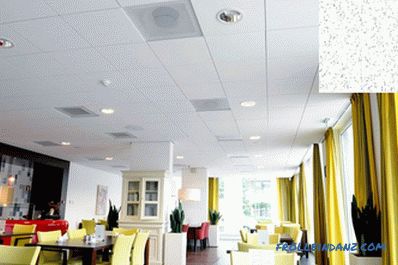 Armstrong ceiling - technical characteristics, types, pros and cons + Photos