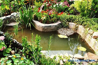 Artificial pond do it yourself - how to make a pond