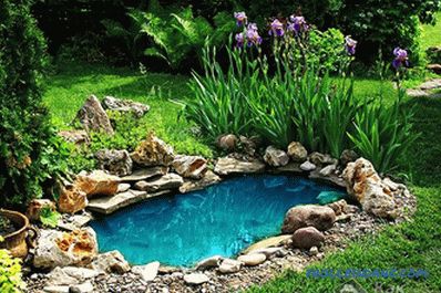 Artificial pond do it yourself - how to make a pond