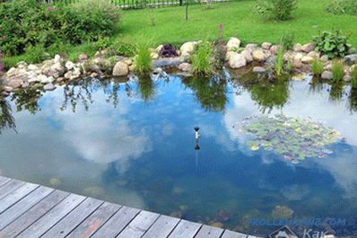 Artificial pond do it yourself - how to make a pond