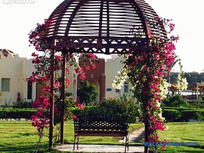 Live gazebo do it yourself (photo)