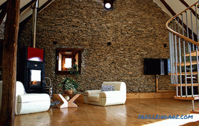 Stone in the interior of the living room - 48 ideas for decoration and photo