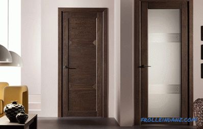 Interior doors in the interior - the rules of selection and photo design ideas