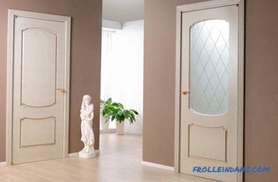 Interior doors in the interior - the rules of selection and photo design ideas