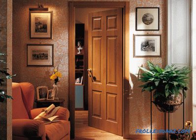 Interior doors in the interior - the rules of selection and photo design ideas