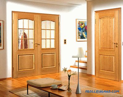 Interior doors in the interior - the rules of selection and photo design ideas