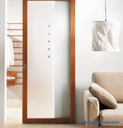 Interior doors in the interior - the rules of selection and photo design ideas