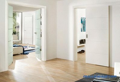 Interior doors in the interior - the rules of selection and photo design ideas