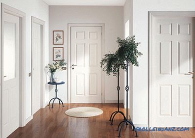 Interior doors in the interior - the rules of selection and photo design ideas