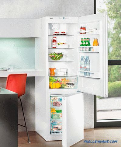 Types of refrigerators for the home - a detailed review