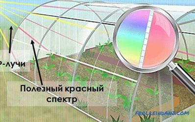 How to choose polycarbonate for the greenhouse considering all the parameters + Video