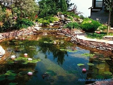 How to clean the pond with your own hands in the country