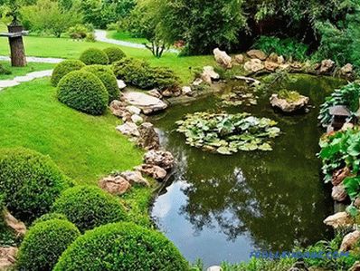 How to clean the pond with your own hands in the country