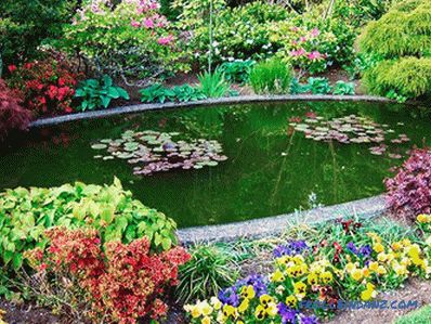 How to clean the pond with your own hands in the country