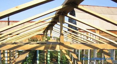 How to make a greenhouse of window frames