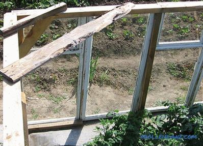 How to make a greenhouse of window frames
