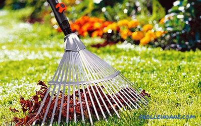 How to care for a lawn - the rules of lawn care all year round