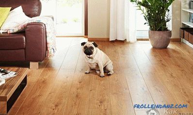 Caring for laminate in the apartment